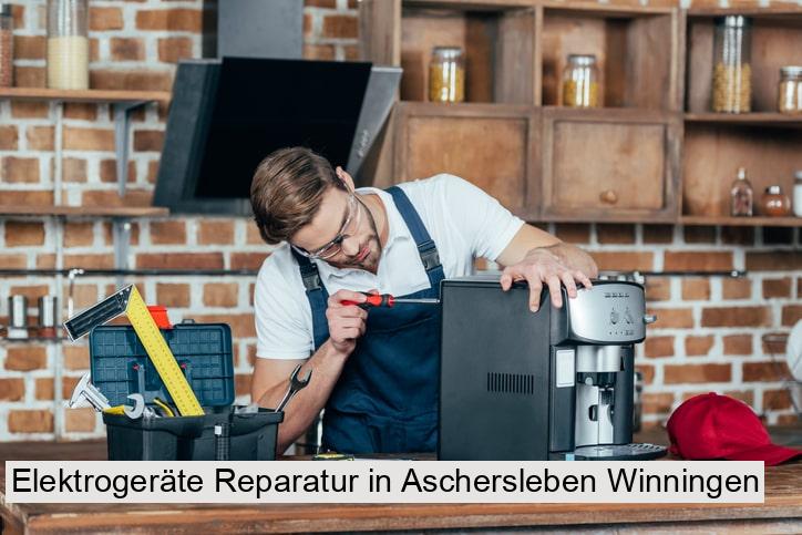 Elektrogeräte Reparatur in Aschersleben Winningen